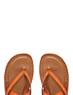 ZIMMERMANN Sandals<Multi-Strap Sandal Flat