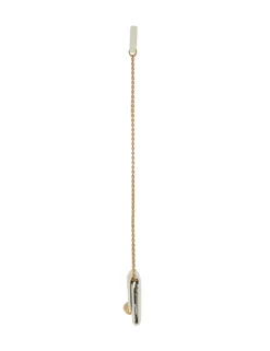 ZIMMERMANN Accessories<Pebble Evening Mini Chain Bag