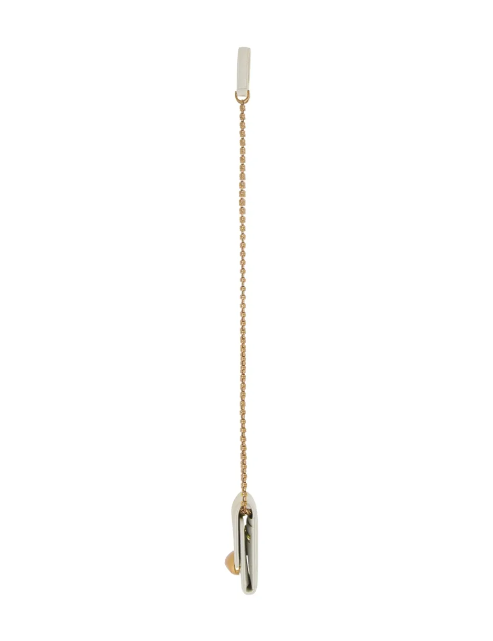 ZIMMERMANN Accessories<Pebble Evening Mini Chain Bag