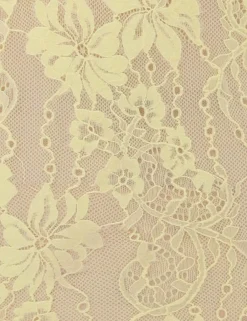 ZIMMERMANN Tops<Scoop Neck Bodysuit