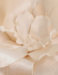 ZIMMERMANN Accessories<Velvet Flower Brooch